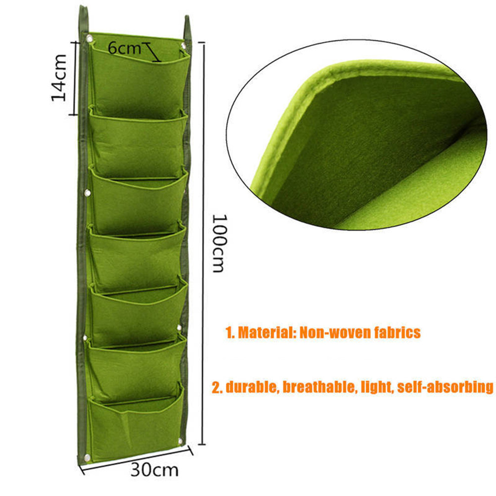 1Pcs Wall-Mounted Plant Nutrit - Nutrition & Fitness Coaching Fulham ulasan dan harga