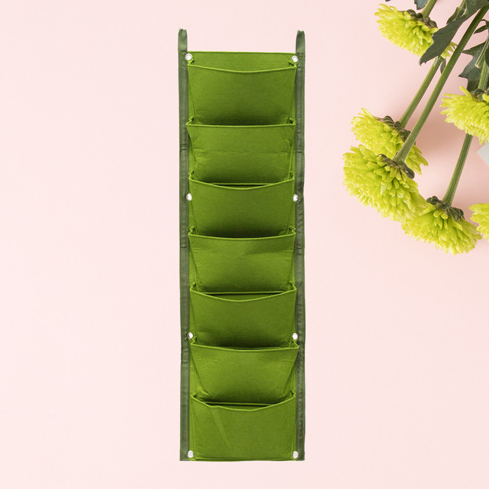 1Pcs Wall-Mounted Plant Nutrit - Nutrition & Fitness Coaching Fulham ulasan dan harga