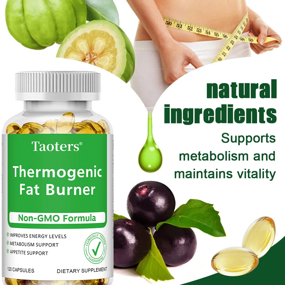 Green Tea Extract - with Apple - Green Tea Extract Fat ulasan dan harga