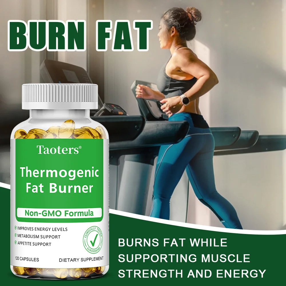 Green Tea Extract - with Apple - Green Tea Extract Fat ulasan dan harga