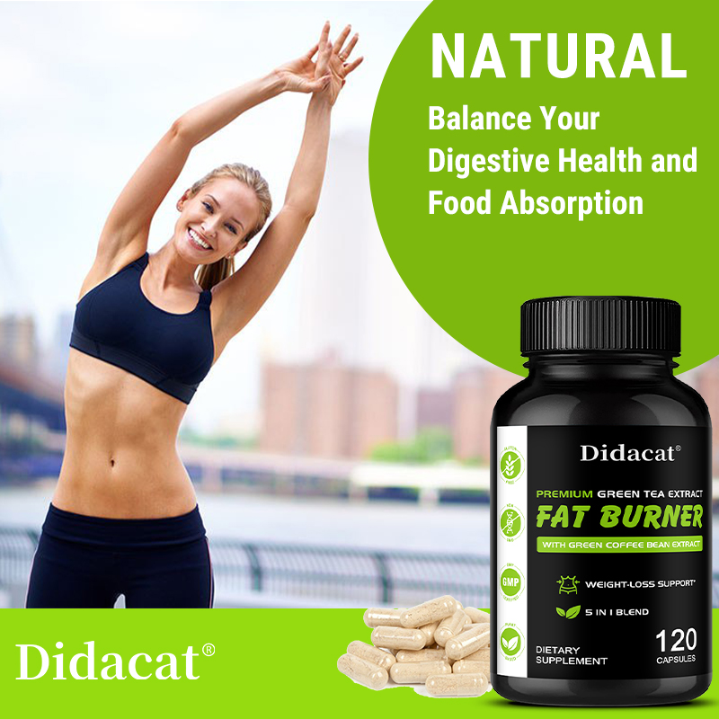 Garcinia Cambogia, Green Tea E - Green Tea Extract Fat ulasan dan harga