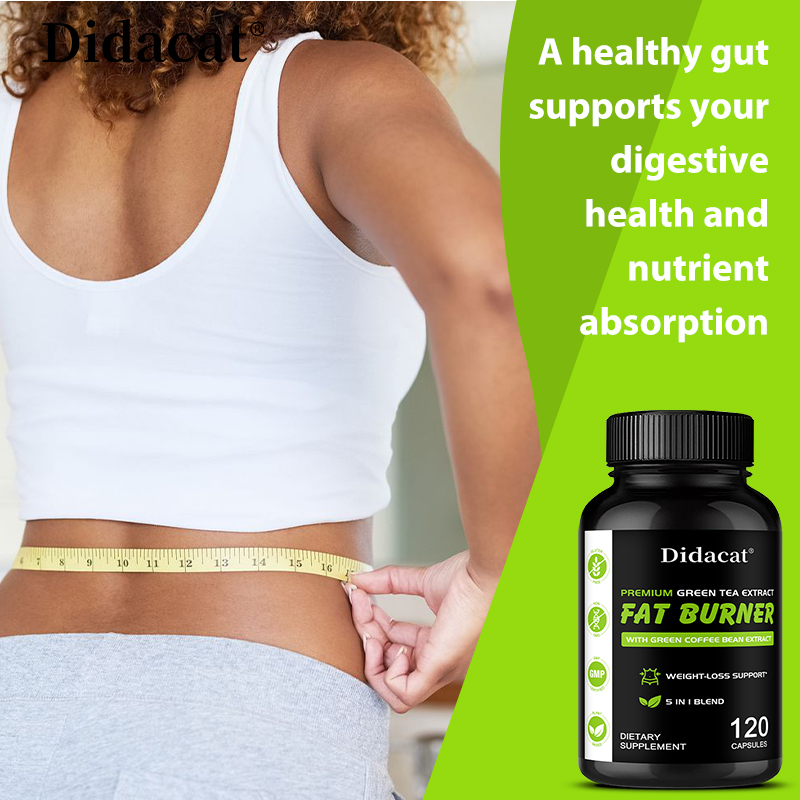 Garcinia Cambogia, Green Tea E - Green Tea Extract Fat ulasan dan harga