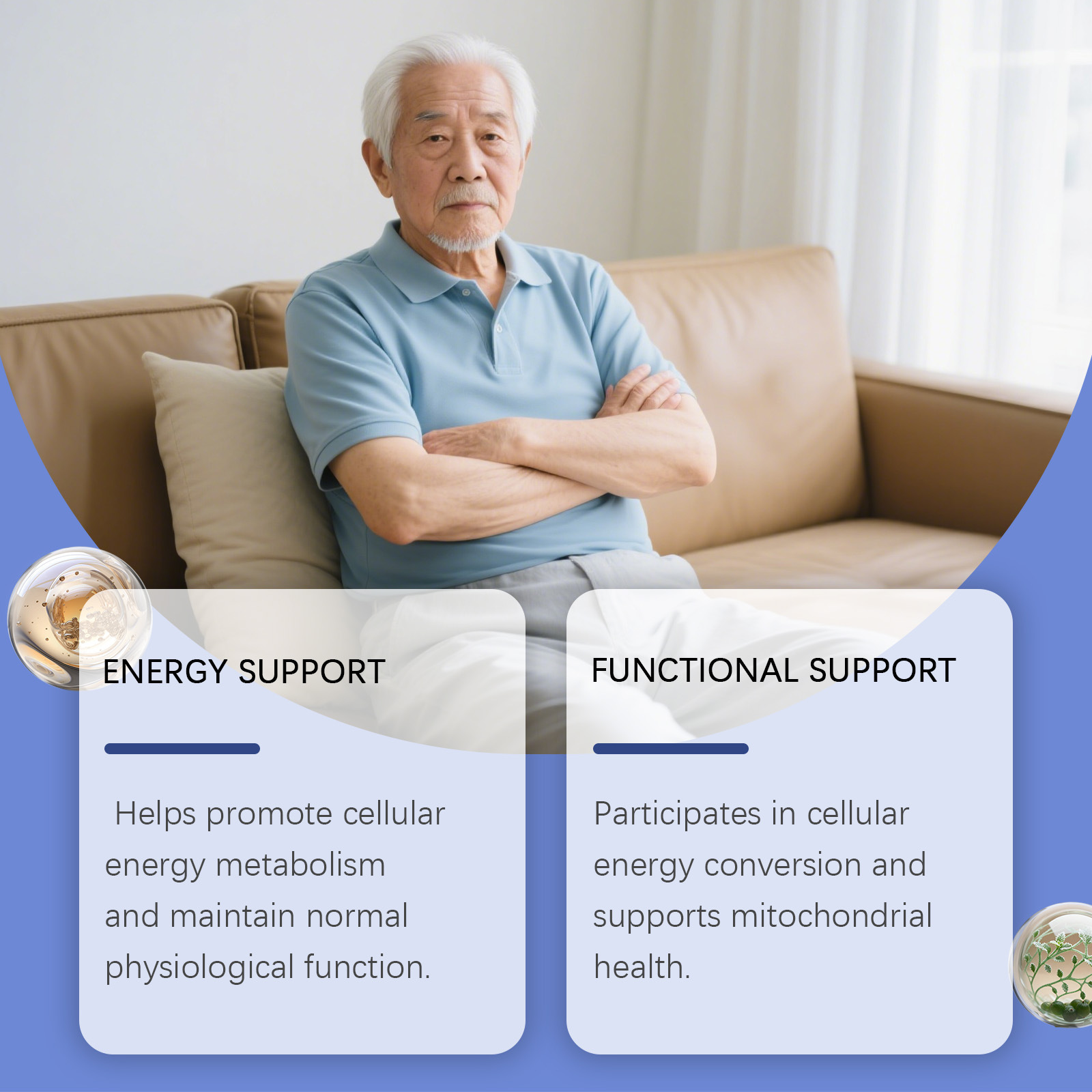 Vitality Enhancing Drops Stimu - Nutrition Physical Fitness ulasan dan harga