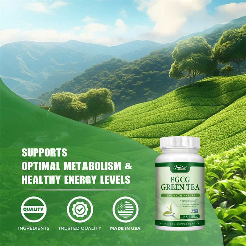 EGCG Green Tea Extract - Boost - Green Tea Extract Fat ulasan dan harga