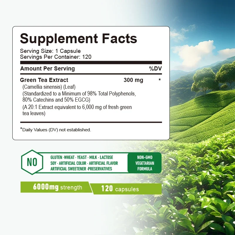 Green Tea Capsules - Belly Fat - Green Tea Extract Fat ulasan dan harga