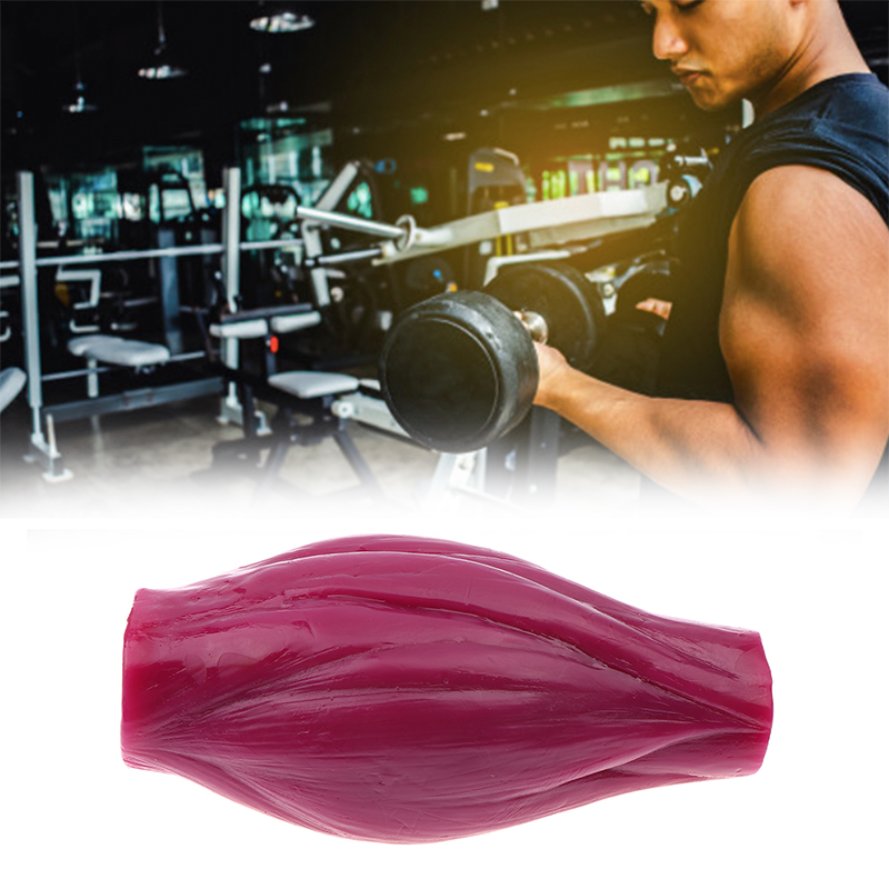 1lb Muscle to Keep Fit & Weigh - Nutrition And Fitness Courses ulasan dan harga