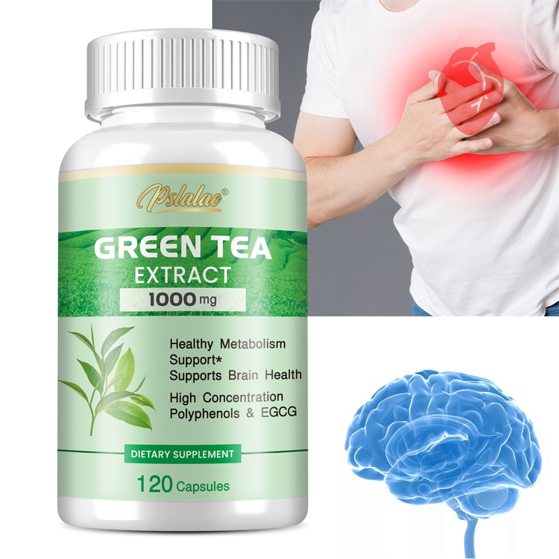 Green Tea Extract - with 98% P - Green Tea Extract Fat ulasan dan harga