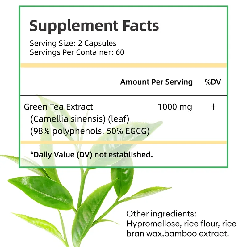 Green Tea Extract - with 98% P - Green Tea Extract Fat ulasan dan harga