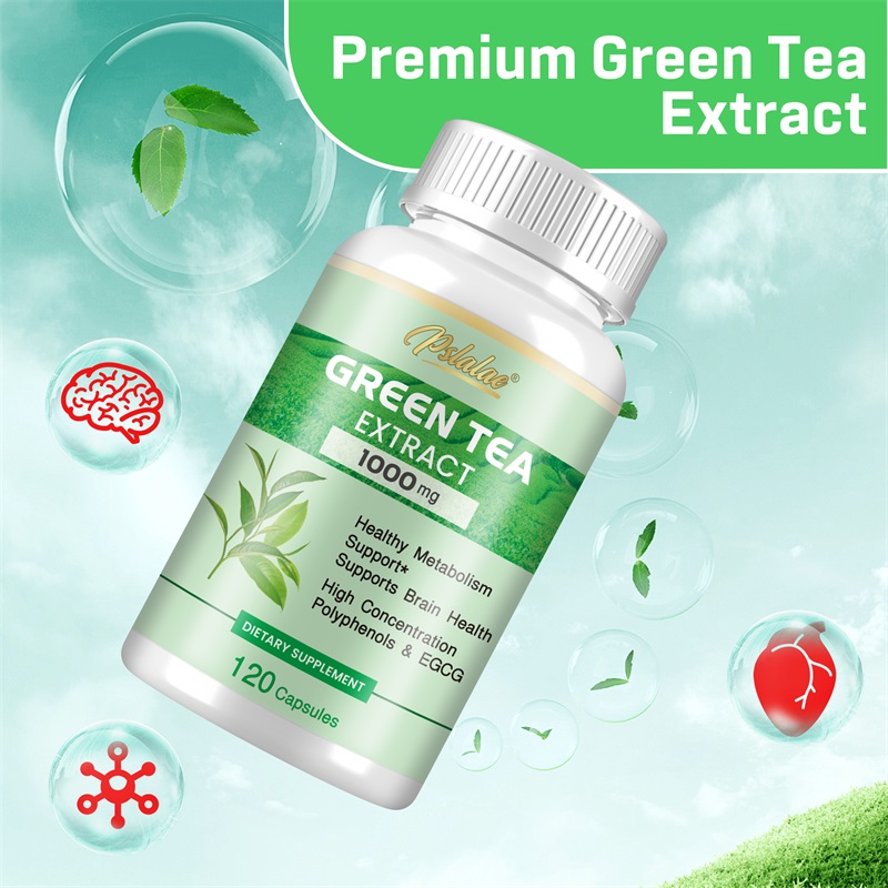 Green Tea Extract - with 98% P - Green Tea Extract Fat ulasan dan harga