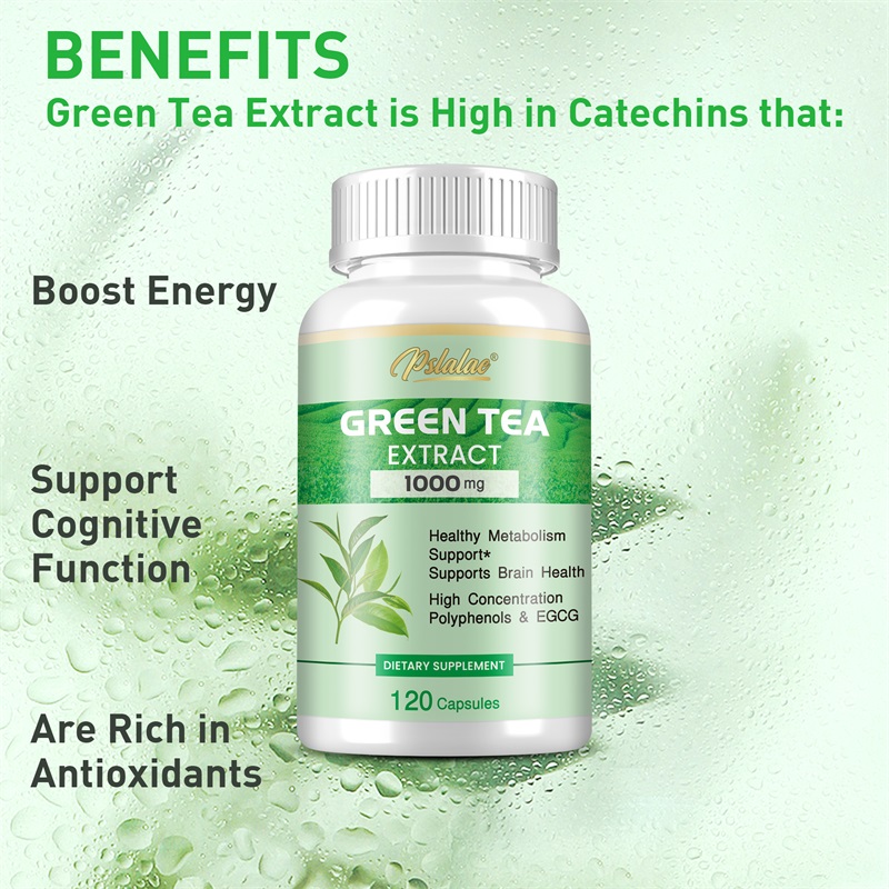Green Tea Extract - with 98% P - Green Tea Extract Fat ulasan dan harga