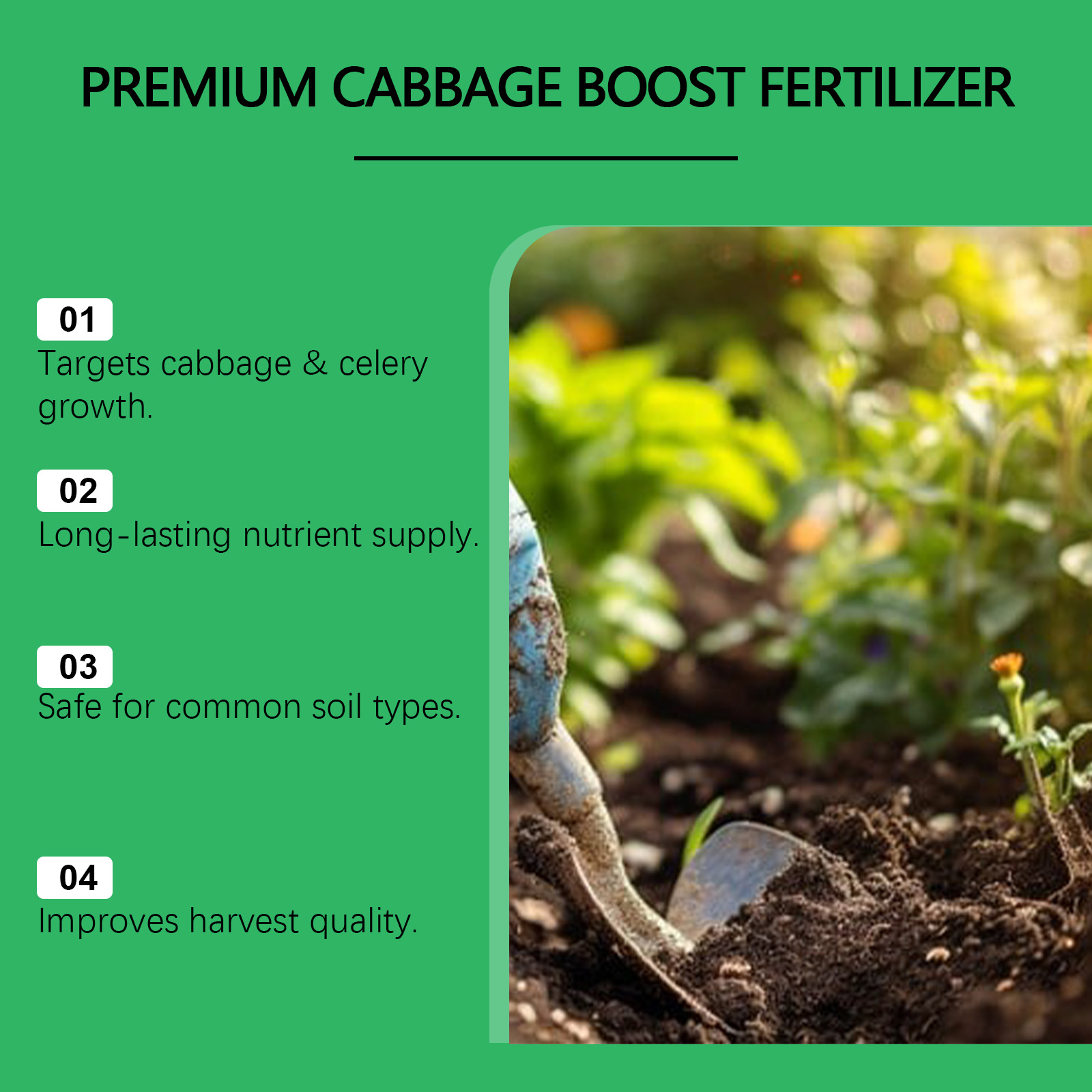 Indoor Outdoor Vegetable Growt - Nutrition & Fitness Coaching Fulham ulasan dan harga