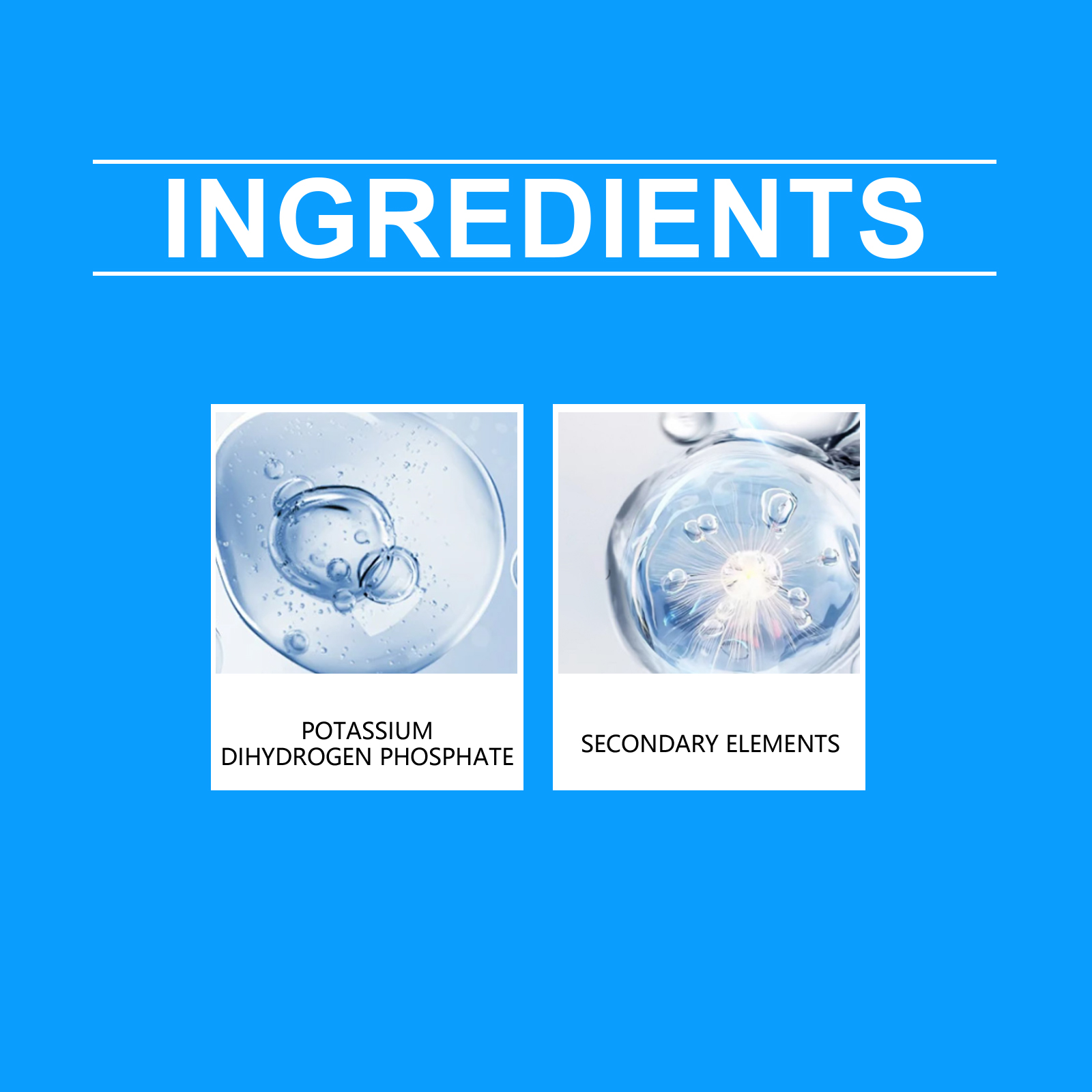 Flower Nutrient Solution Liqui - Nutrition & Fitness Coaching Fulham ulasan dan harga