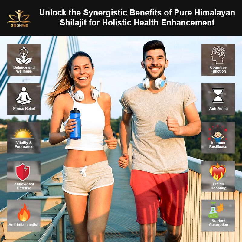 Himalaya Shilajit Capsule Orig - Shilajit Resin Pure ulasan dan harga