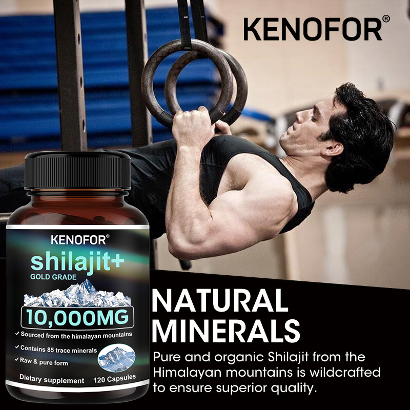 Himalayan Shilajit Capsules 10 - Shilajit Resin Pure ulasan dan harga