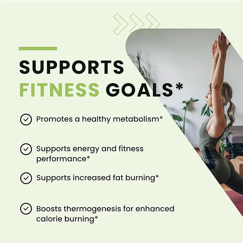 Green Tea Fat Burner - Support - Green Tea Extract Fat ulasan dan harga