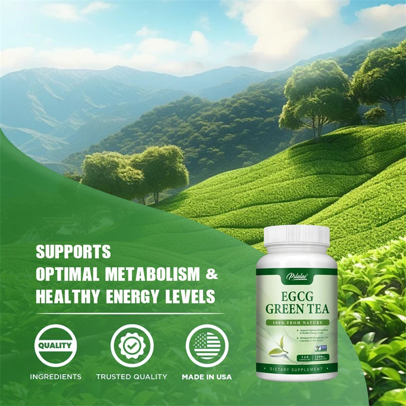 EGCG Green Tea Extract - Boost - Green Tea Extract Fat ulasan dan harga